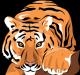 Тигр и его значение по фэн-шуй Что символизирует тигр на картине