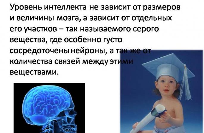 Conceptul de nivel de inteligență sau coeficient de inteligență (IQ) Cum este indicat coeficientul de inteligență?