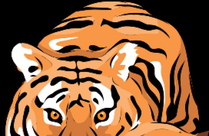 Тигр и его значение по фэн-шуй Что символизирует тигр на картине