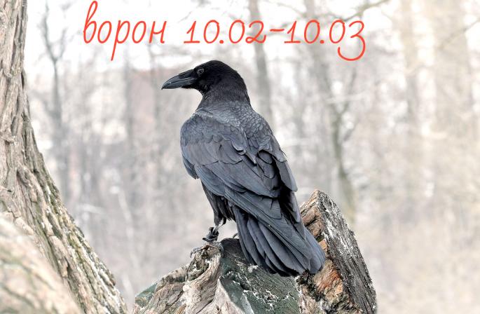 Horoscop slav - ce animal ești