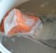طريقة عمل شوربة سمك السلمون اللذيذة