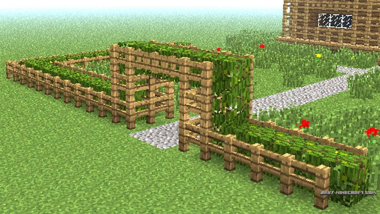 Gardhi i Minecraft 1.11. Gardhi i Minecraft