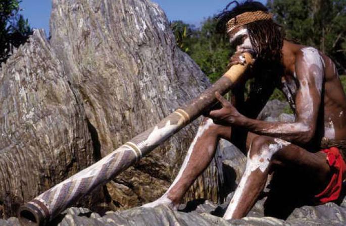 Instrument muzical australian didgeridoo