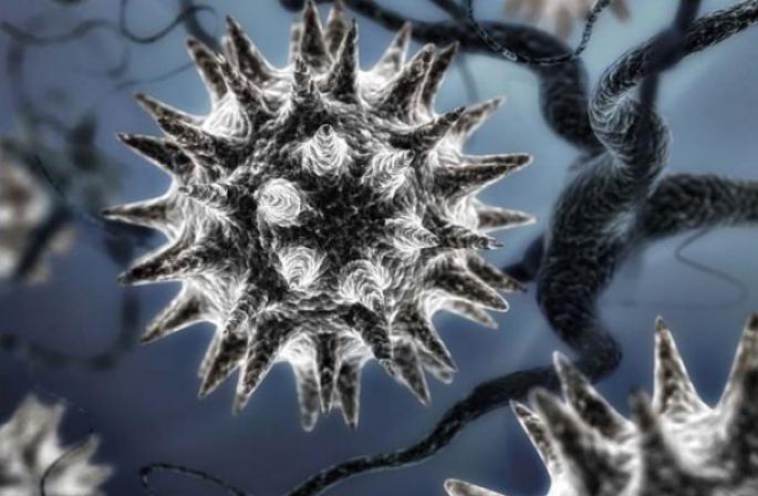 Skąd się biorą nowe choroby i wirusy, skąd pochodzi wirus grypy?